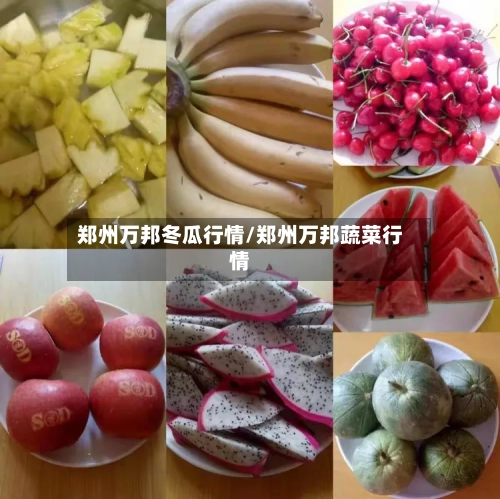 郑州万邦冬瓜行情/郑州万邦蔬菜行情
