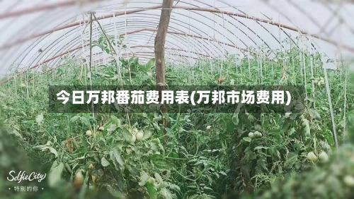 今日万邦番茄费用表(万邦市场费用)-第3张图片