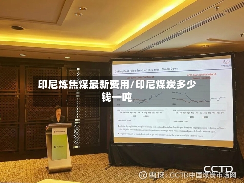 印尼炼焦煤最新费用/印尼煤炭多少钱一吨