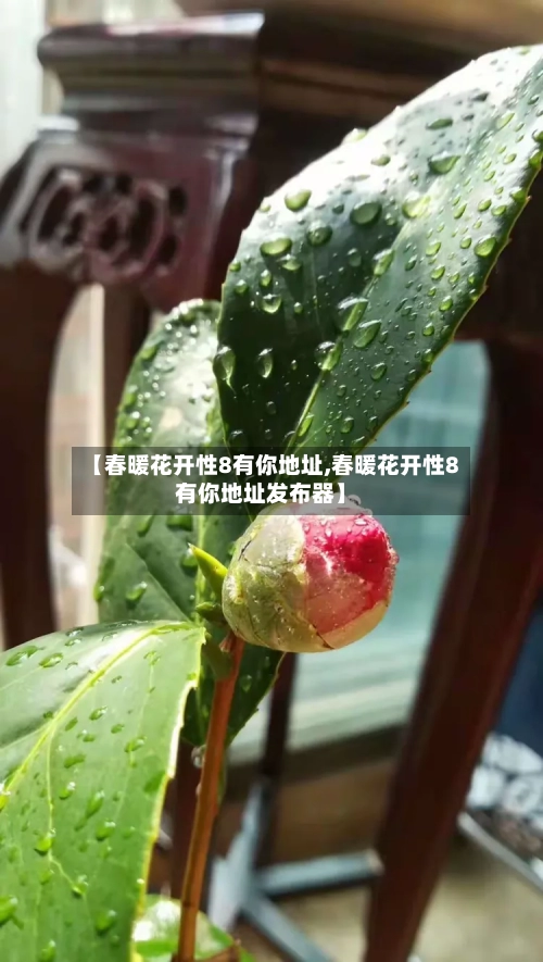 【春暖花开性8有你地址,春暖花开性8有你地址发布器】-第2张图片