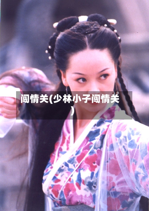 闯情关(少林小子闯情关)