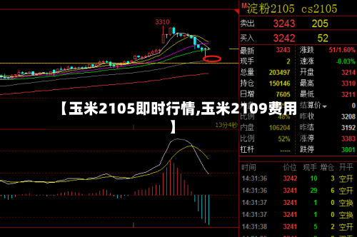 【玉米2105即时行情,玉米2109费用】