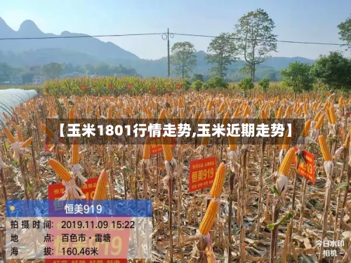 【玉米1801行情走势,玉米近期走势】-第2张图片