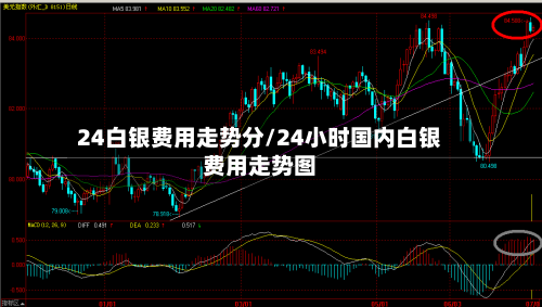 24白银费用走势分/24小时国内白银费用走势图