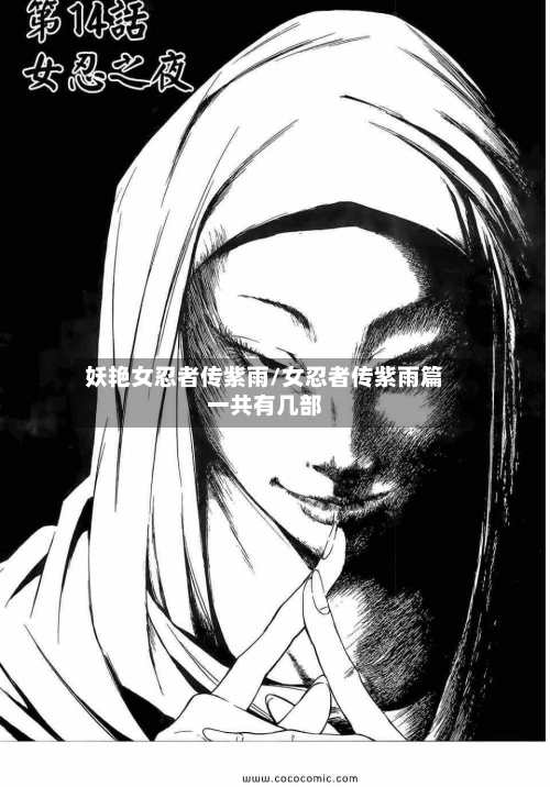 妖艳女忍者传紫雨/女忍者传紫雨篇一共有几部-第2张图片