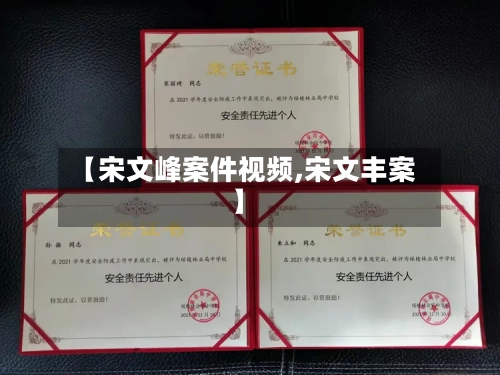 【宋文峰案件视频,宋文丰案】