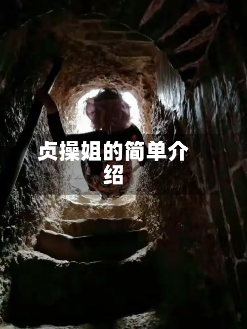 贞操姐的简单介绍-第3张图片
