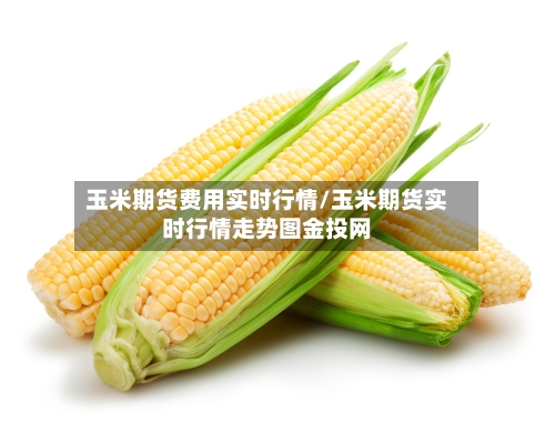 玉米期货费用实时行情/玉米期货实时行情走势图金投网-第3张图片