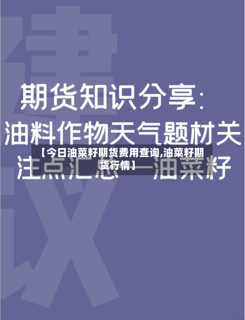 【今日油菜籽期货费用查询,油菜籽期货行情】