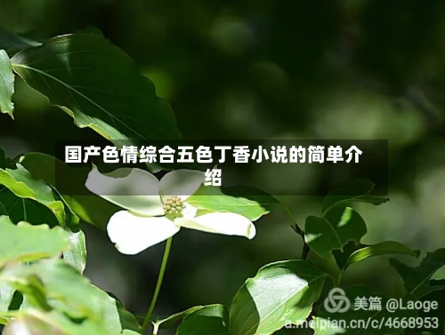 国产色情综合五色丁香小说的简单介绍-第3张图片