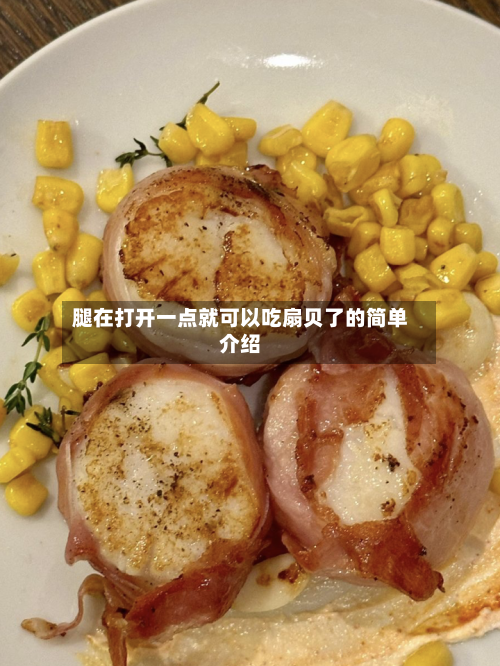 腿在打开一点就可以吃扇贝了的简单介绍-第2张图片