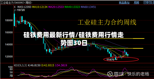 硅铁费用最新行情/硅铁费用行情走势图30日