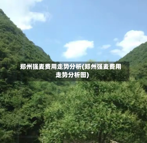 郑州强麦费用走势分析(郑州强麦费用走势分析图)
