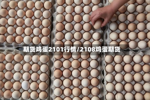 期货鸡蛋2101行情/2108鸡蛋期货-第2张图片