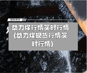 动力煤行情实时行情(动力煤现货行情实时行情)
