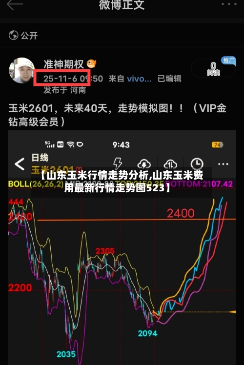 【山东玉米行情走势分析,山东玉米费用最新行情走势图523】-第2张图片
