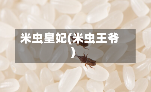 米虫皇妃(米虫王爷)