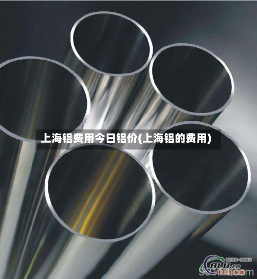 上海铝费用今日铝价(上海铝的费用)