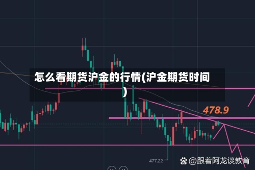 怎么看期货沪金的行情(沪金期货时间)