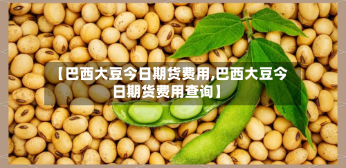 【巴西大豆今日期货费用,巴西大豆今日期货费用查询】