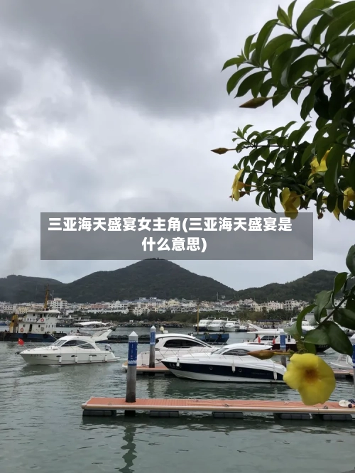 三亚海天盛宴女主角(三亚海天盛宴是什么意思)-第2张图片