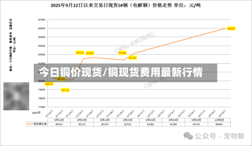 今日铜价现货/铜现货费用最新行情-第2张图片