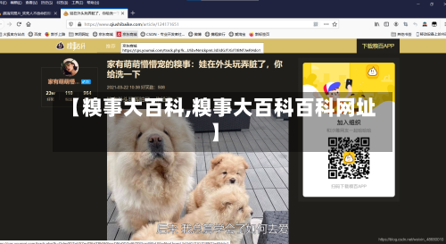 【糗事大百科,糗事大百科百科网址】-第2张图片