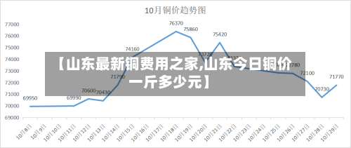 【山东最新铜费用之家,山东今日铜价一斤多少元】-第2张图片