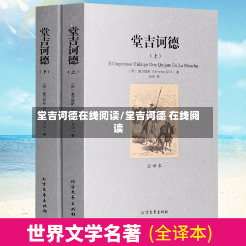堂吉诃德在线阅读/堂吉诃德 在线阅读-第2张图片