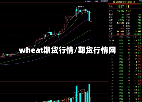 wheat期货行情/期货行情网-第2张图片