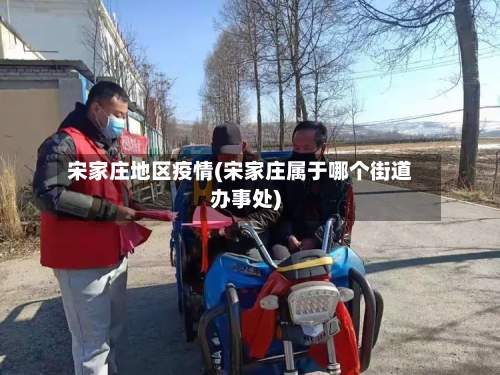 宋家庄地区疫情(宋家庄属于哪个街道办事处)-第2张图片