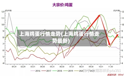 上海鸡蛋行情走势(上海鸡蛋行情走势最新)