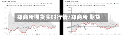 郑商所期货实时行情/郑商所 期货