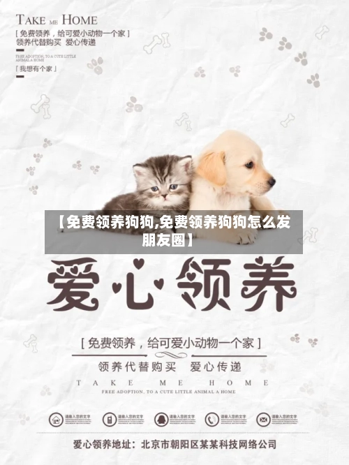 【免费领养狗狗,免费领养狗狗怎么发朋友圈】-第2张图片
