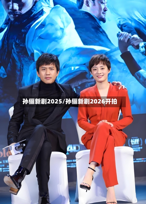 孙俪新剧2025/孙俪新剧2026开拍-第3张图片
