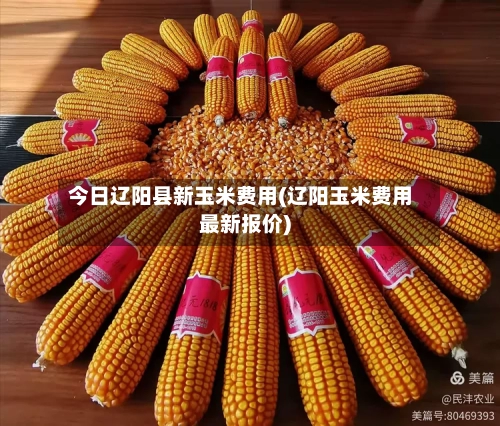 今日辽阳县新玉米费用(辽阳玉米费用最新报价)-第3张图片