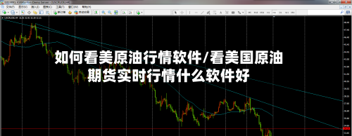如何看美原油行情软件/看美国原油期货实时行情什么软件好-第3张图片