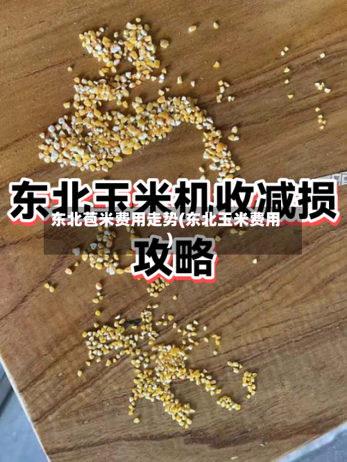 东北苞米费用走势(东北玉米费用)