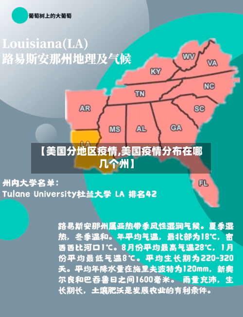 【美国分地区疫情,美国疫情分布在哪几个州】