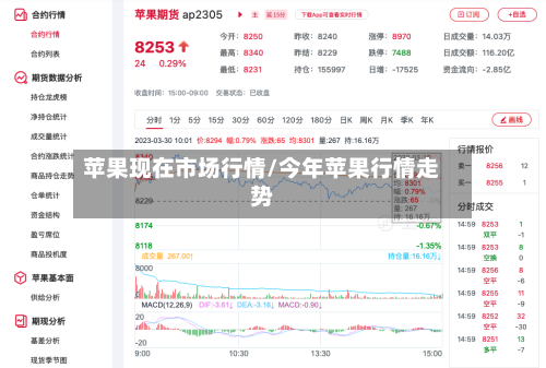 苹果现在市场行情/今年苹果行情走势-第2张图片