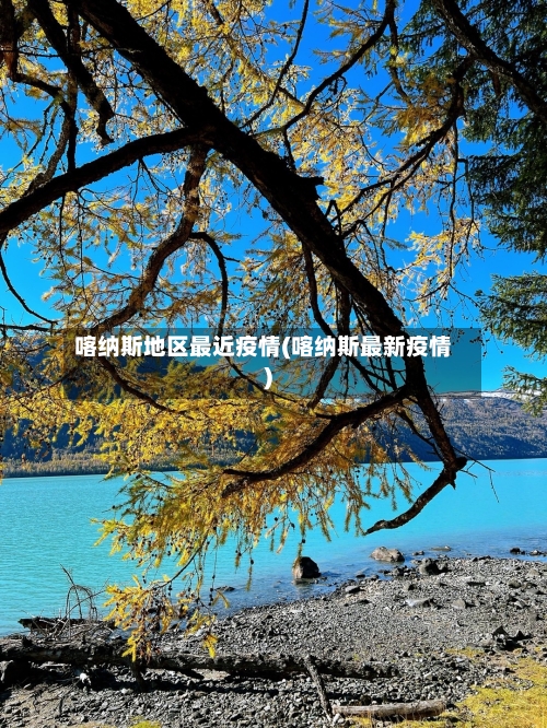 喀纳斯地区最近疫情(喀纳斯最新疫情)-第2张图片