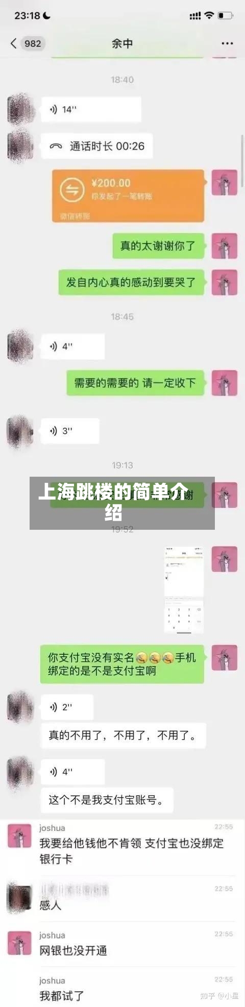 上海跳楼的简单介绍