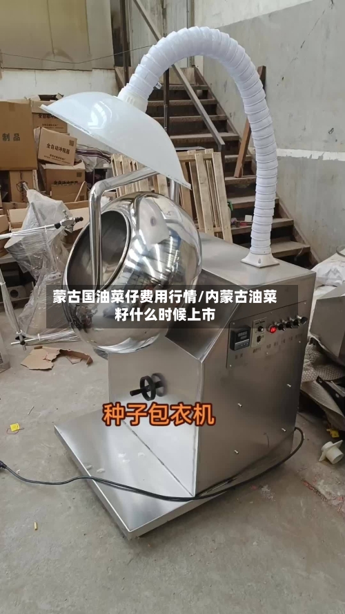蒙古国油菜仔费用行情/内蒙古油菜籽什么时候上市-第2张图片