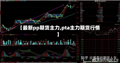 【最新pp期货主力,pta主力期货行情】-第3张图片