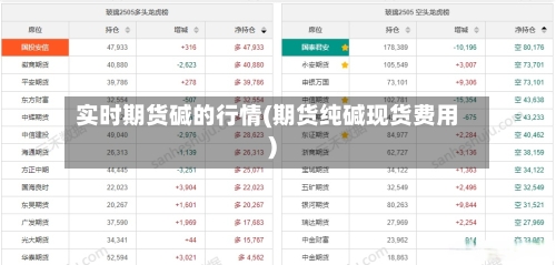 实时期货碱的行情(期货纯碱现货费用)
