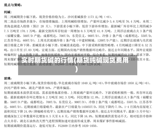 实时期货碱的行情(期货纯碱现货费用)-第3张图片