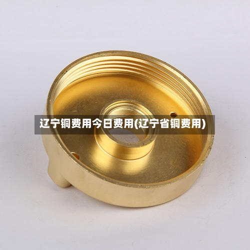 辽宁铜费用今日费用(辽宁省铜费用)