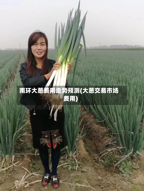 南环大葱费用走势预测(大葱交易市场费用)-第2张图片