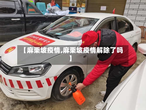 【麻栗坡疫情,麻栗坡疫情解除了吗】