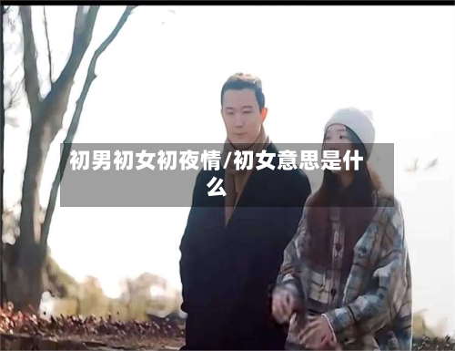 初男初女初夜情/初女意思是什么-第3张图片